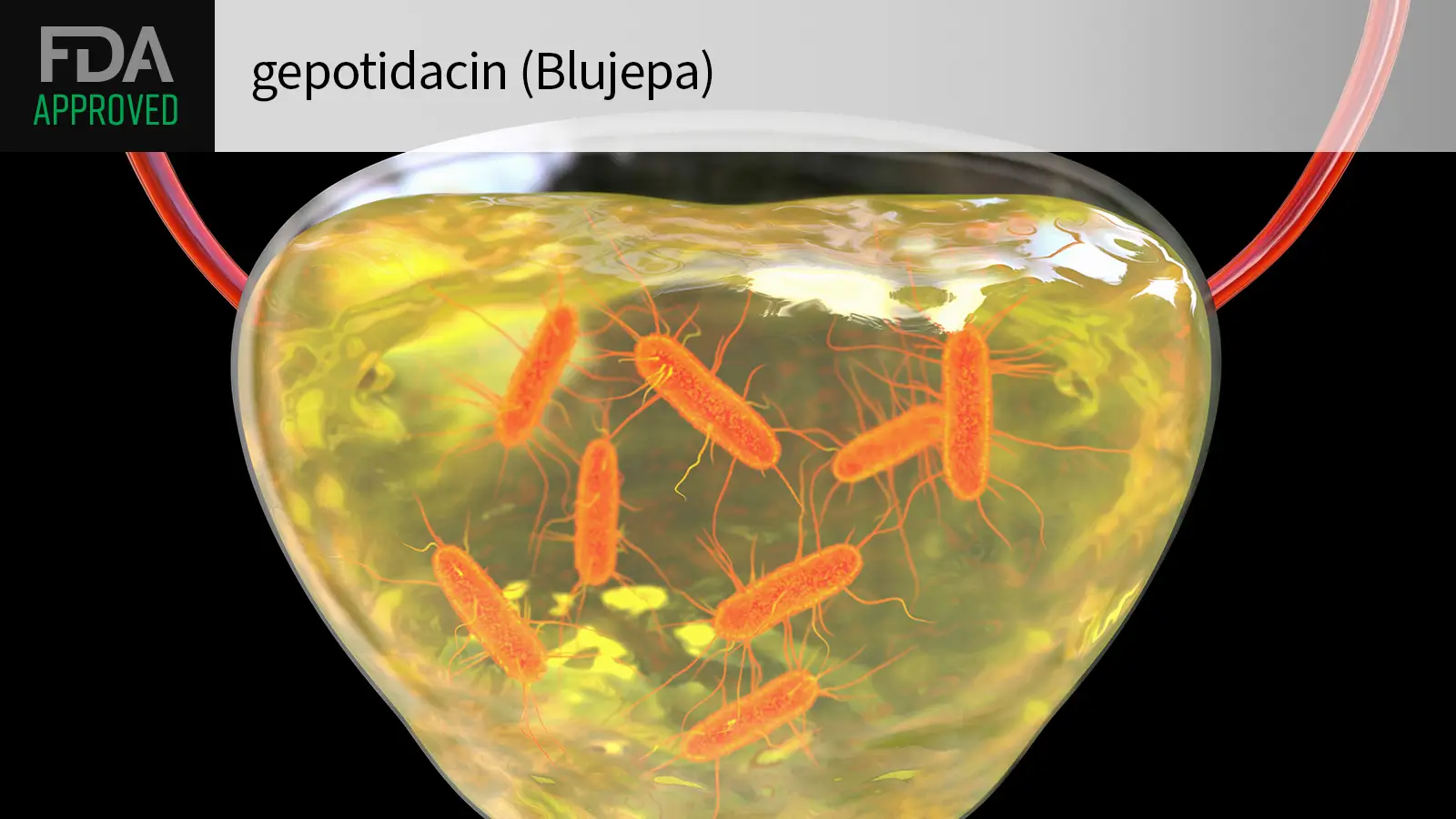 Blujepa(gepotidacin，吉泊达星)治疗单纯型尿