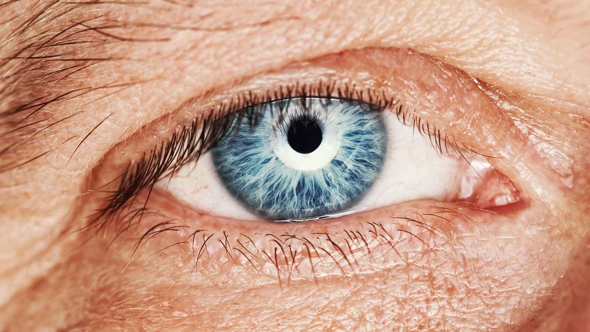 视网膜色素变性潜在新疗法ADX-2191获FDA授予快速通道资格