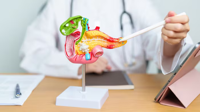 FDA批准Optune Pax用于治疗局部晚期胰腺癌