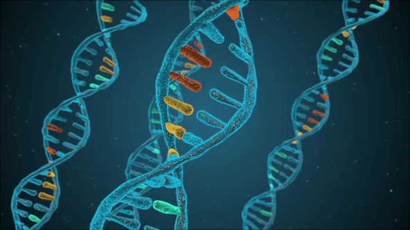 IMCIVREE在美扩大适应症，用于治疗获得性下丘脑性肥胖症