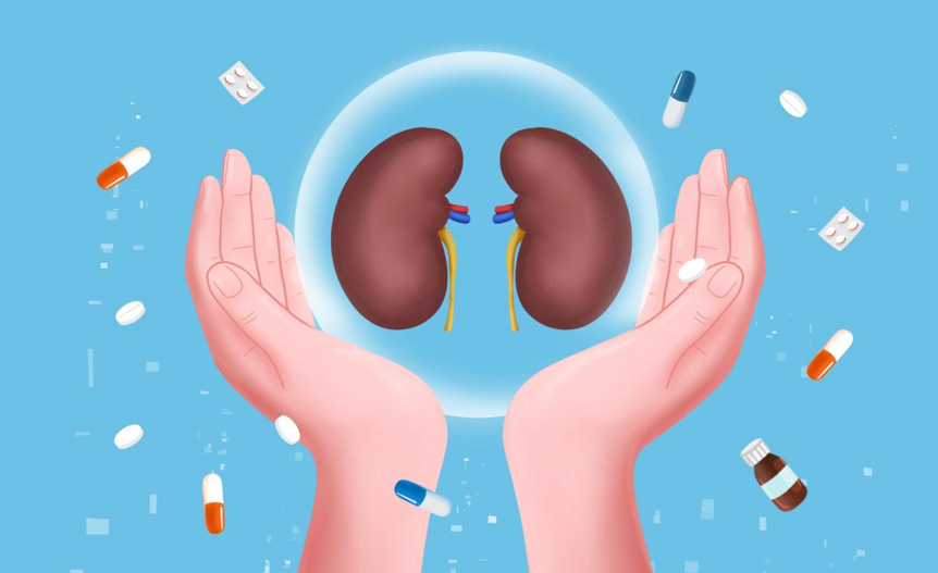 原发性膜性肾病潜在药物budoprutug获FDA授予快速通道资格