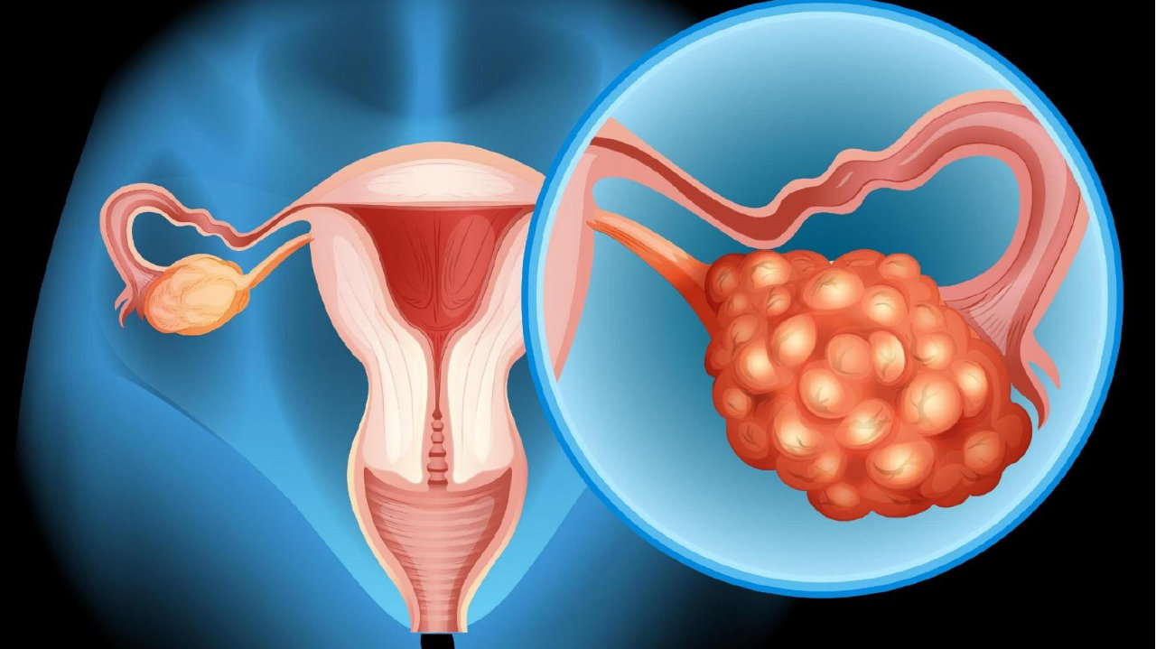Haizexin(risovalisib)/海泽欣(甲磺酸瑞索利塞)中文说明书-价格-适应症-不良反应及注意事项_香港济民药业