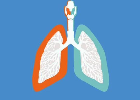广泛期小细胞肺癌靶向药IMDELLTRA标签更新：缩短前两剂监测时间_香港济民药业